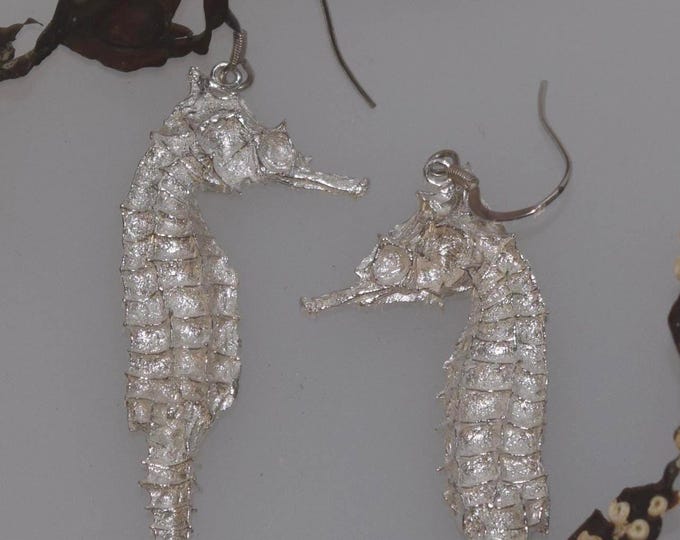 Solid Silver Seahorse Drop Earrings - Handmade Douglas Hughes Design