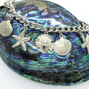 Silver Seashell Charm Bracelet - Handmade Douglas Hughes. Silver Seashell, Seashell Jewellery, Seashell Charms, Silver Sea Shell, Sea Charm
