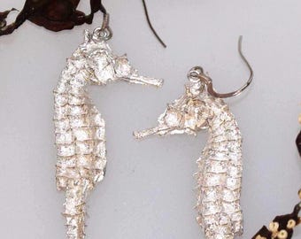 Solid Silver Seahorse Drop Earrings - Handmade Douglas Hughes Design
