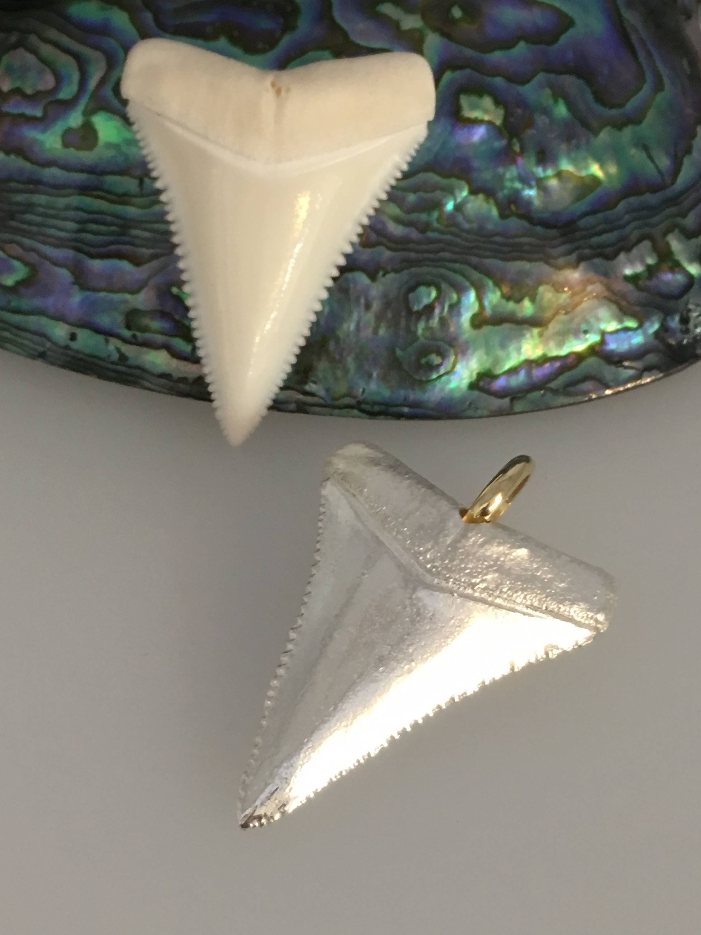 Great White Shark Tooth Necklace Silver Shark Tooth Pendant 