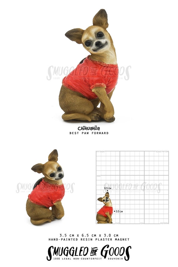 Chihuahua Magnet
