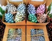 Scented Pinecone Fire Starters - Set of 4