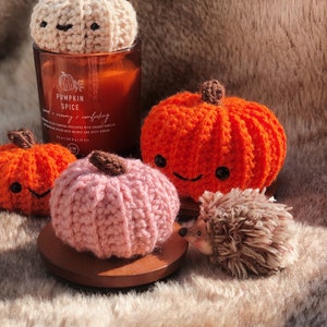 Halloween, Crochet, pumpkins, Fall decor, Handmade, pumpkin decor, unique gift, witchy cottage core, birthday, amigurumi plush squish plush image 7