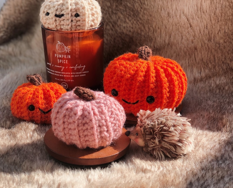 Halloween, Crochet, pumpkins, Fall decor, Handmade, pumpkin decor, unique gift, witchy cottage core, birthday, amigurumi plush squish plush image 7