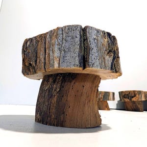 May include: A small stool crafted from a thick, cylindrical log of natural wood. The top surface features weathered, greyish-brown bark with a visible vertical split, while the base consists of a solid, darker brown section of tree trunk.