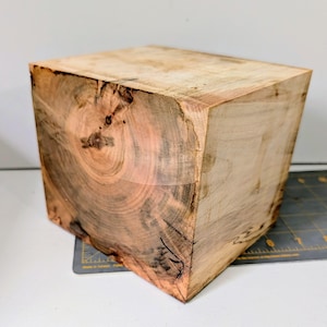 Ambrosia Maple Turning Blank:   Spalted, Figure and Color   5"x 5"x 6" deep.