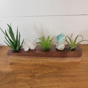 Handmade Minimalist Walnut Wood 3-Hole Air Plant Crystal Holder Block Boho Decor