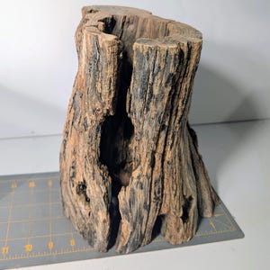 May include: A hollowed-out piece of weathered brown driftwood with a rough, textured bark surface and a large vertical opening. The wood is positioned on a gray cutting mat with visible yellow markings showing measurements in inches.