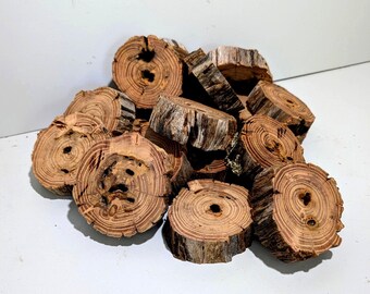 Black Locust Cookies from the West Virginia Forest Floor.  4" and solid character