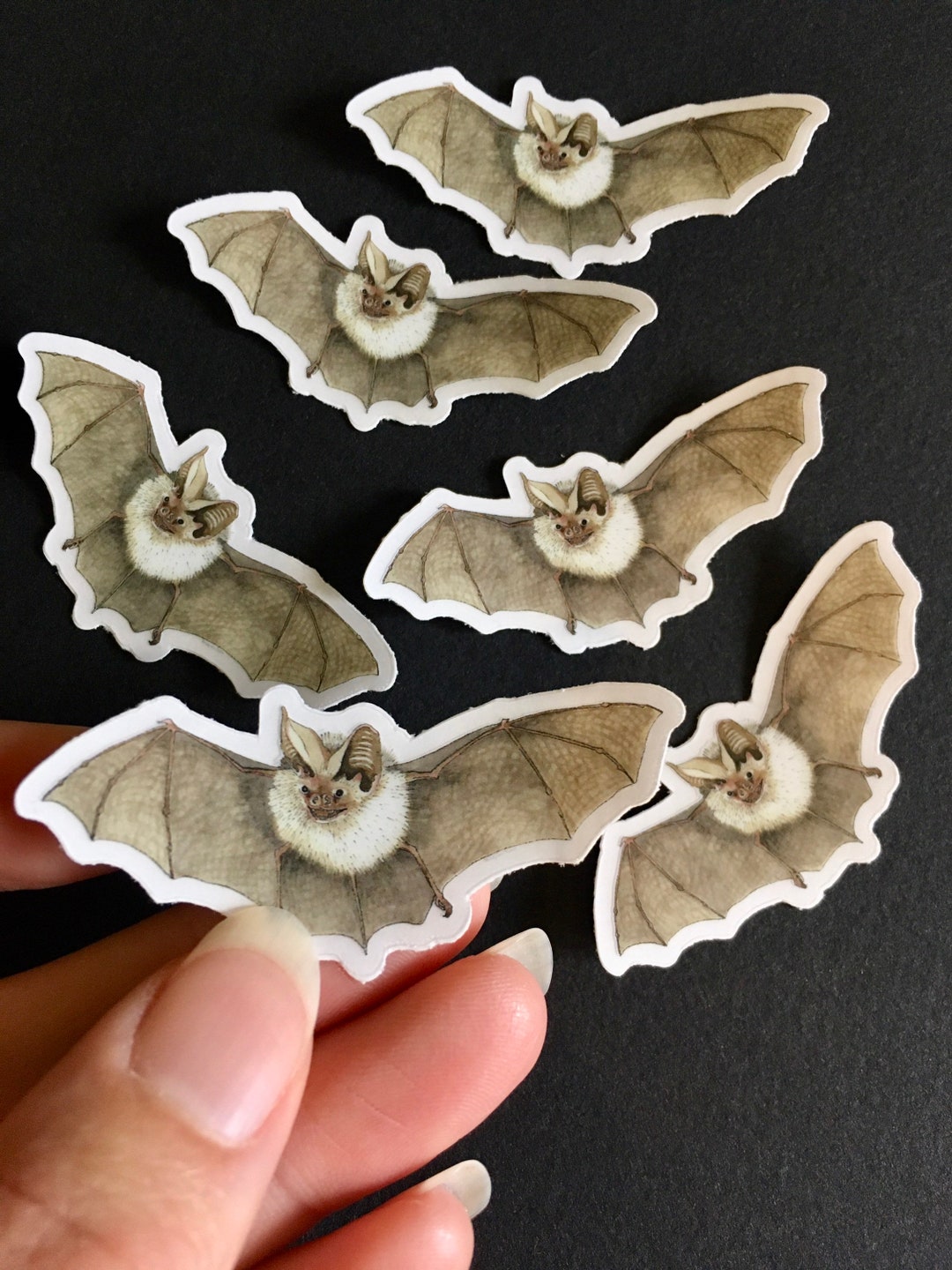 Set of 6 Mini Bat Clear Vinyl Bumper Stickers - Etsy