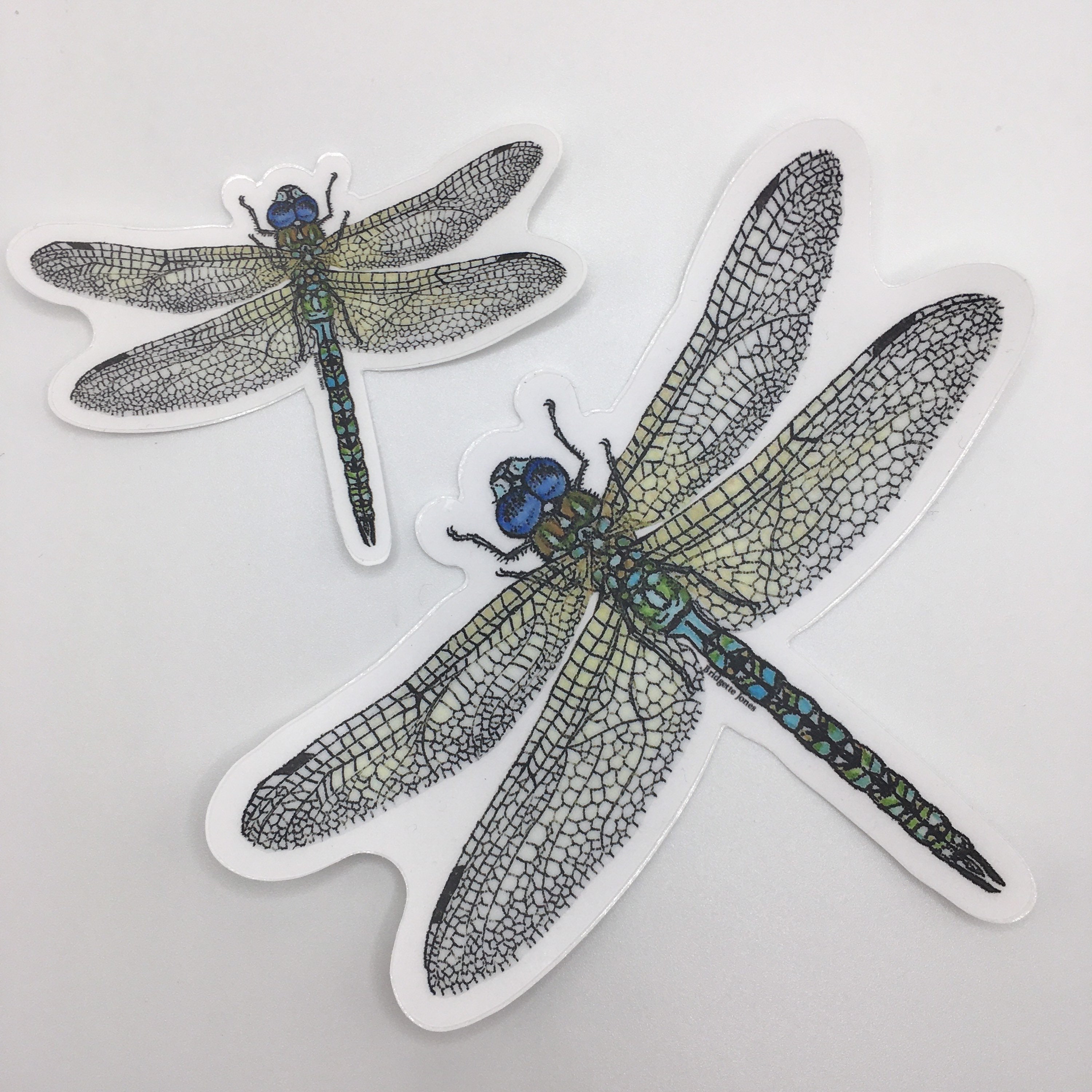 Set of 12 mini clear moth bumper stickers —mini cards Bridgette Jones  Nature Prints-Bridgette Jones Nature Prints