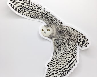 Snowy Owl Bumper Sticker, clear vinyl