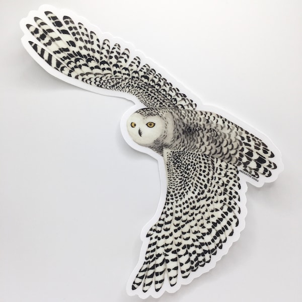 Snowy Owl Bumper Sticker, clear vinyl