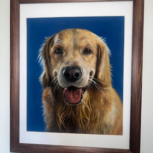 200,000+ Free ゴールデンレトリバー 子犬 かわいい & Golden
