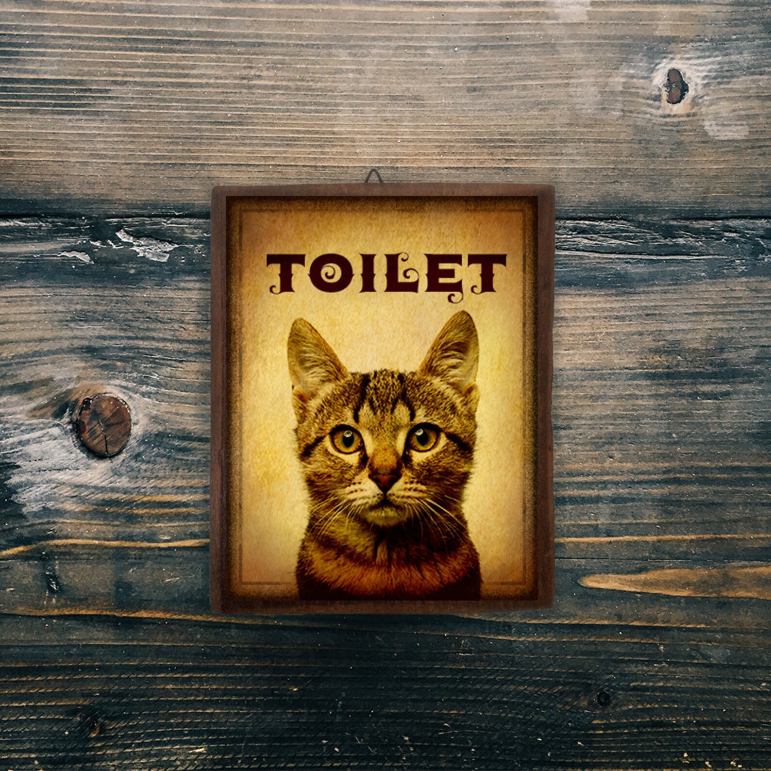 Restroom Sign cat Sign Door Sign Funny Sign Decor Etsy