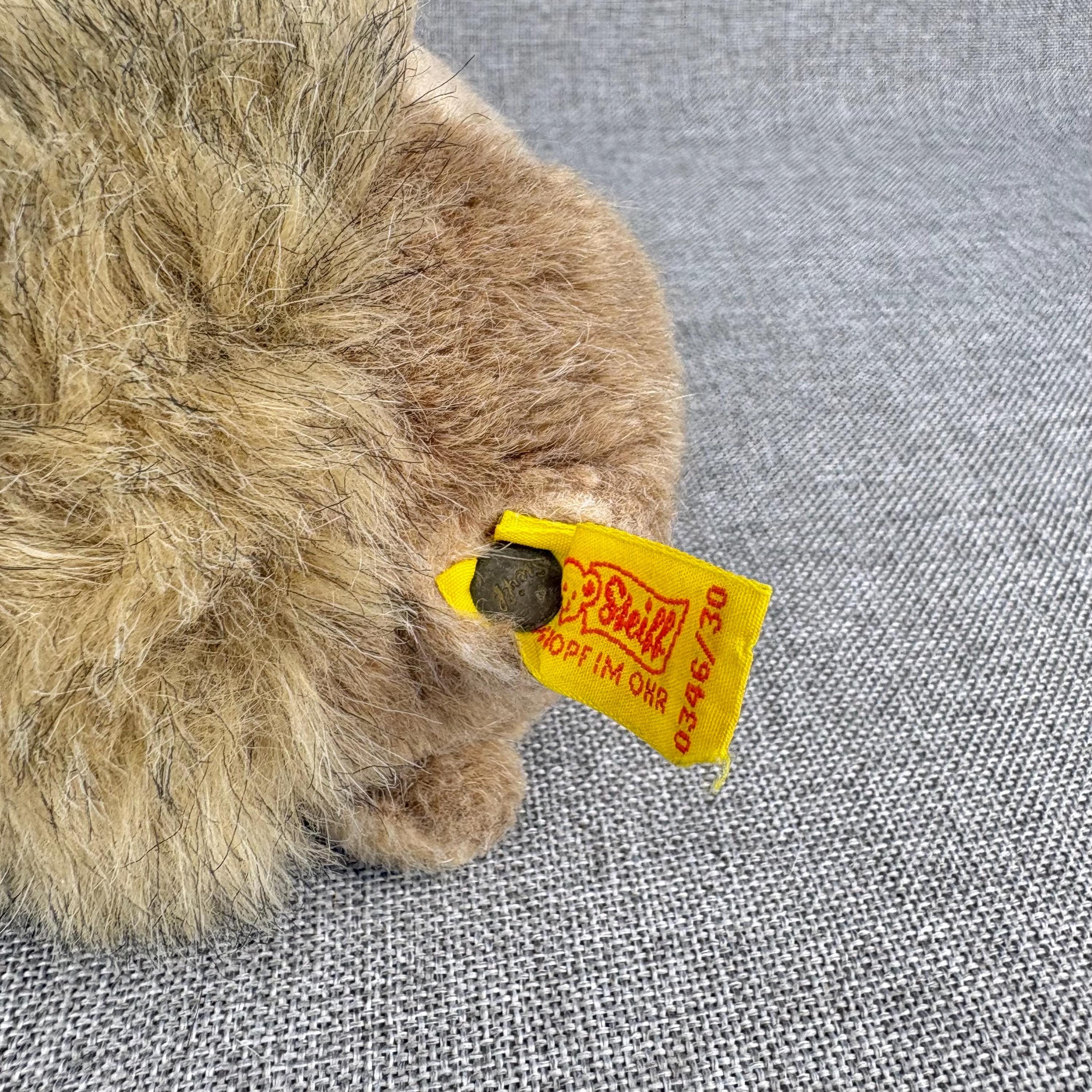 Steiff - Vintage 80's Molly Piff Marmot 0346/30 Plushie - Etsy