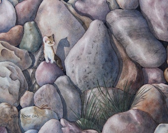 Little Fighter - Original Watercolor Painting of weasel in rocks