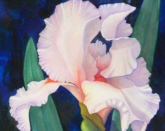 Pink Iris - Original Watercolor Painting