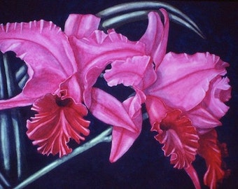 Fuchsia Cattleya Orchids - Original Watercolor Painting