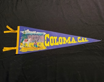 Vintage Pennant - Coloma, California