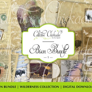 Bison Junk Journal Bundle (1), Stampabile Ephemera Pack, Carta, Vintage, Kit digitale, Abbellimento, Wilderness Collection Scarica