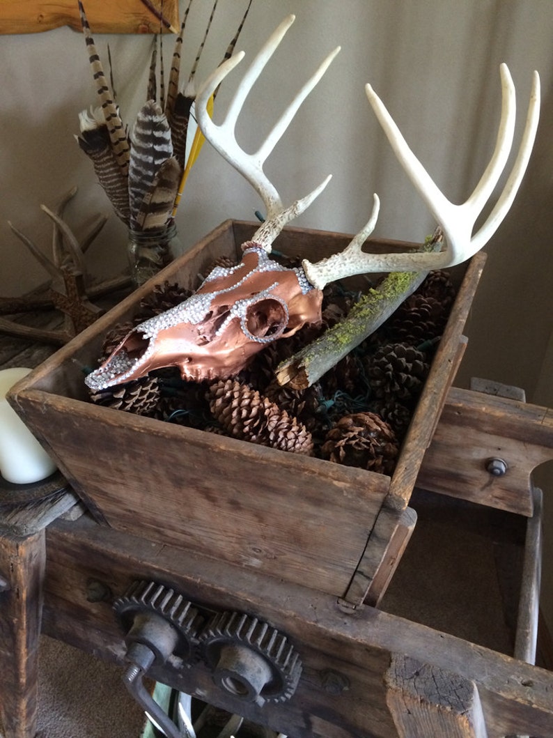 Deer Skull / Rhinestone / European Mount / Rustic Home ...