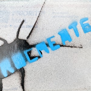 Cockroach Sticker - &quot;Procreate&quot; - Handmade Stencil Design By Brett Stout - (Photo, Graffiti, Metal, Punk Rock, Painting, Banksy, Street Art)