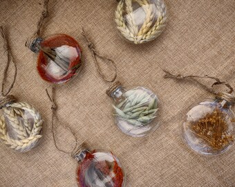 Dried Naturals Glass Christmas Ornaments