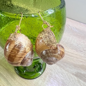 Peut inclure: Une paire de boucles d'oreilles uniques avec des coquilles d'escargots et des accents dorés. Les boucles d'oreilles ont des crochets dorés et sont posées sur un fond en verre vert. Les coquilles d'escargots sont de couleur marron et beige.