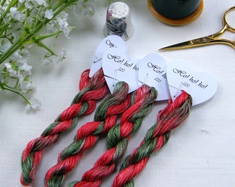 Red & Green (220), Christmas colours Variegated Stranded Cotton Embroidery Thread: Hand Dyed 8-Meter Skein