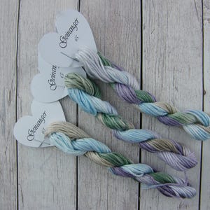 65 - Geiranger Hand Dyed variegated Stranded Cotton skein in interesting blend of colours.