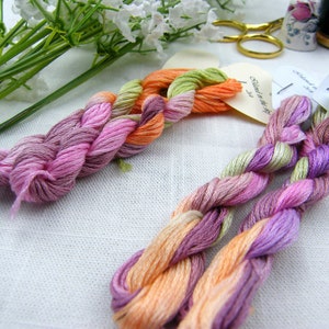 264 - Island in the Sky hand dyed variegated Stranded Cotton skein, by Fils à Soso. Skein is 8 metres with 6 strands.