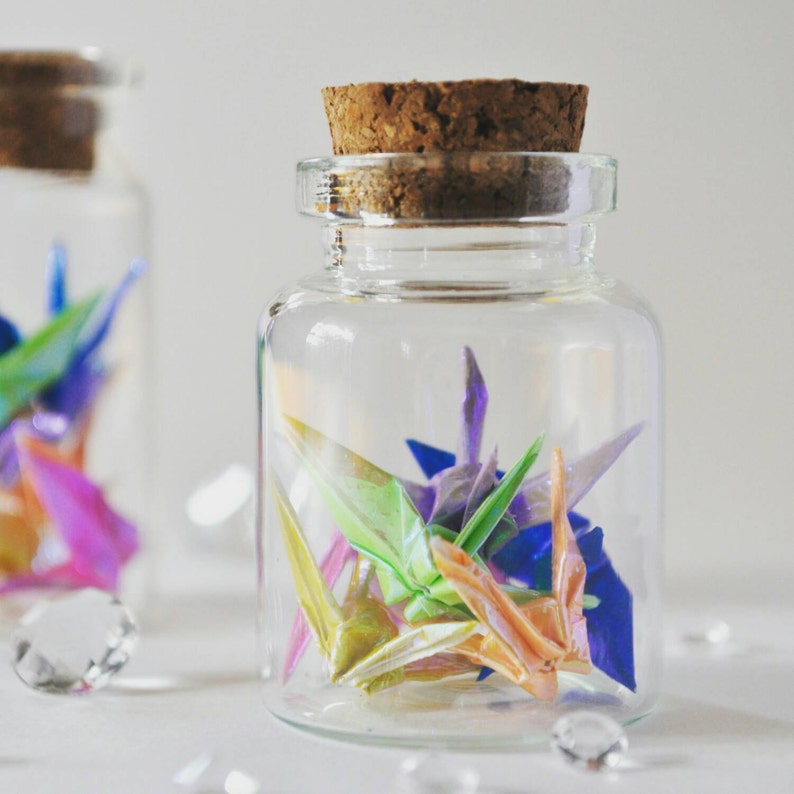Delicate Origami Crane Bottled Rainbow pack of 5