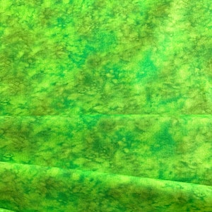 Splash BTR3504 Tonal Green  Blank Quilting Corp