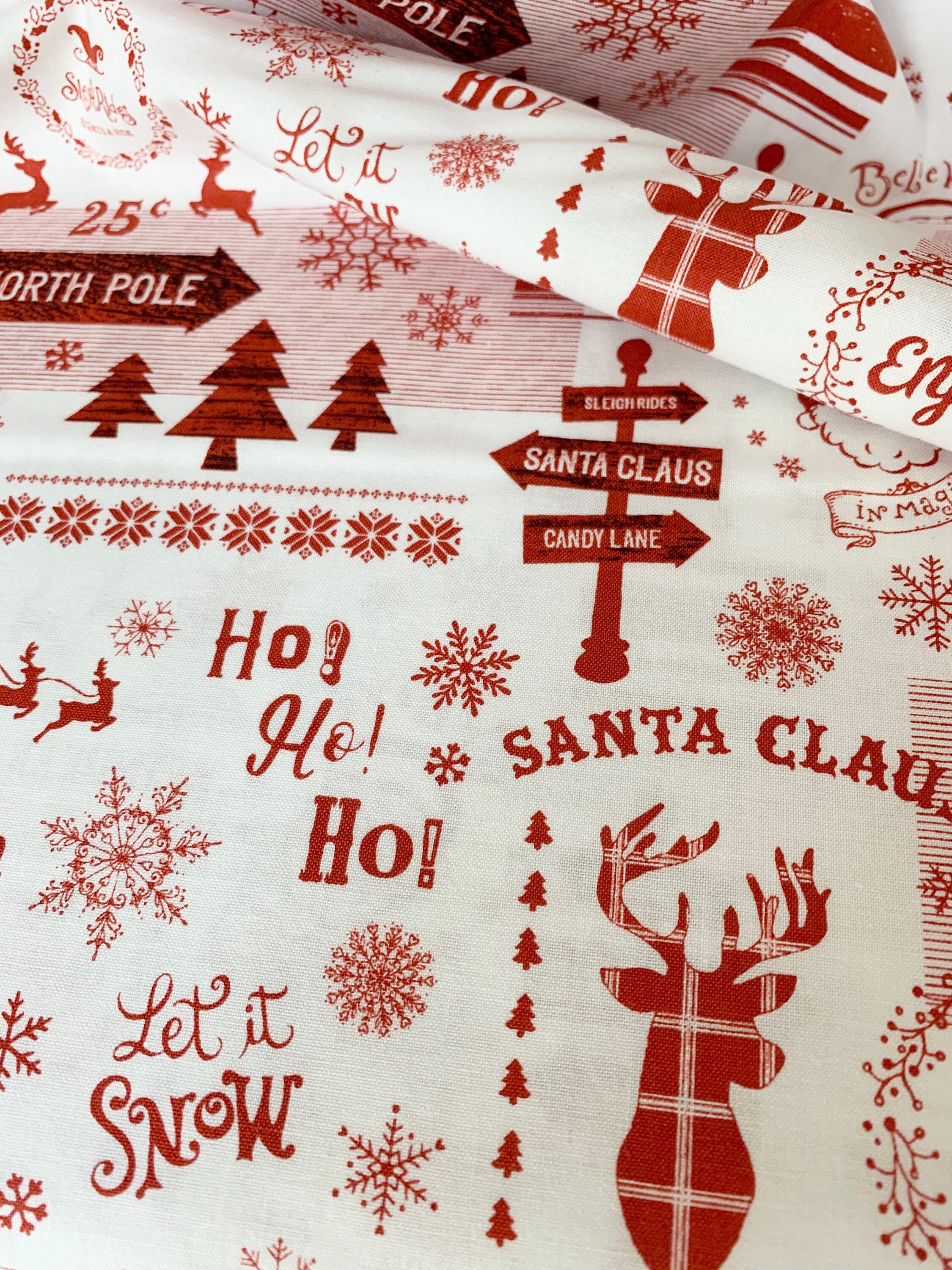 Christmas Memories  5257-8  Holiday Words and  Motifs by Lucie Cravatto for Studio E