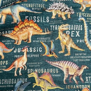 Dinosaur Land  DCX11144  Teal   Dinosaur Variety  and Words   Michael Miller