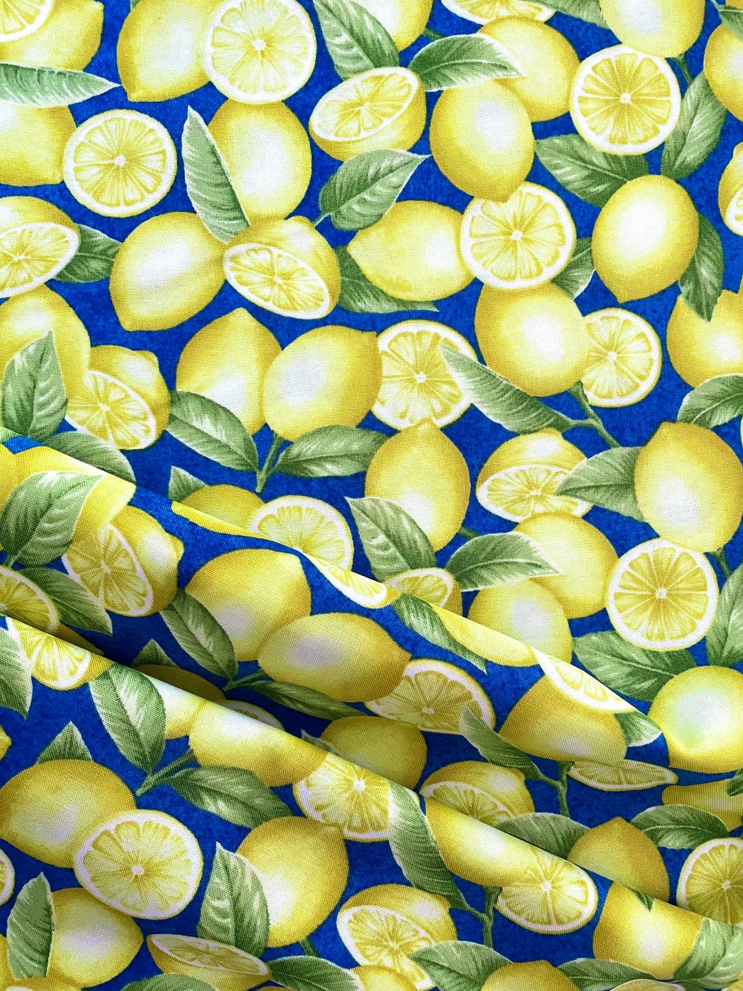 Just Lemons 9345 Lemons Blue Yellow Jane Shasky for Henry - Etsy