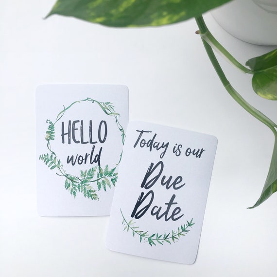 twin baby milestone cards