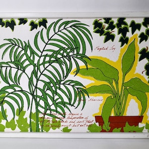 May include: A framed illustration of two houseplants, a parlor palm and an English ivy, with handwritten text describing their care requirements. The background is white with green ivy leaves.