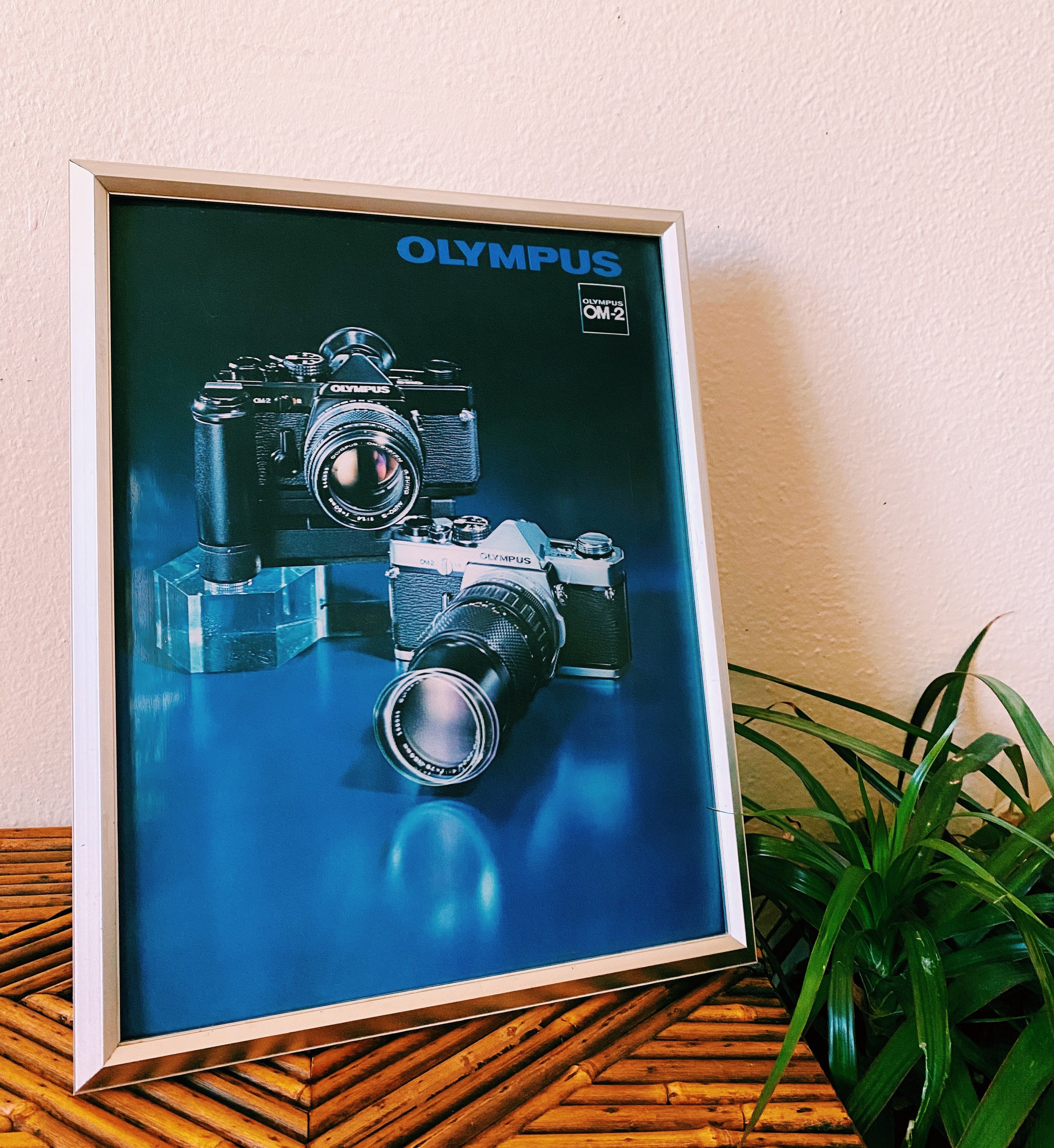 Olympus Om2 Case - Etsy
