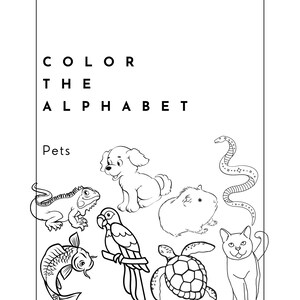 Color the Alphabet - Pets