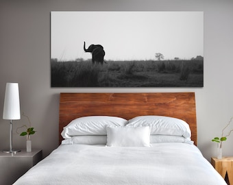 African Elephant Photography Print: Chobe River, Zambia Safari Art