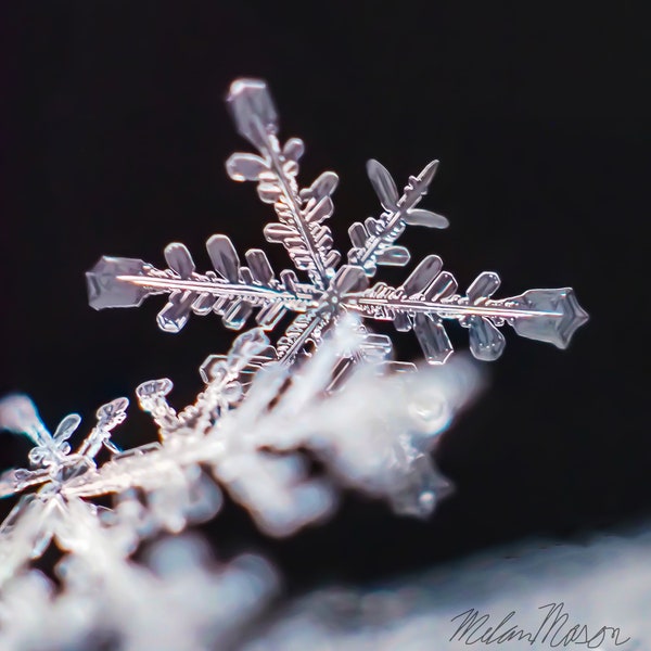 Snowflake 2 Macro Photo Digital Download