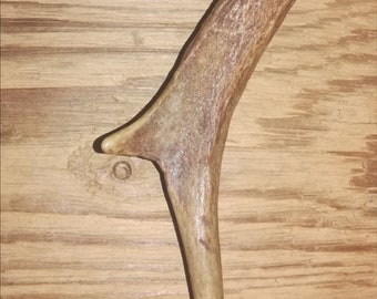 Charivarianhänger Echthorn, ca. 9 cm, Trachtenanhänger