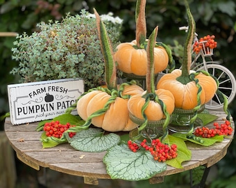 Velvet pumpkin, 1 piece, large, orange - Available for immediate shipping