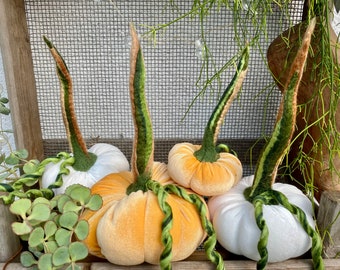 Velvet pumpkin, white, size S - available for immediate shipping