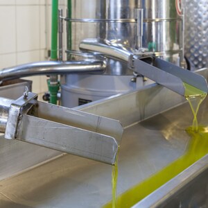 May include: Olive oil flows from a stainless steel spout into a large metal trough. The oil is a bright, vibrant green colour.