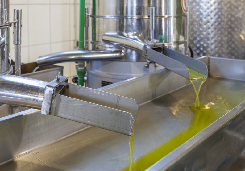 May include: Olive oil flows from a stainless steel spout into a large metal trough. The oil is a bright, vibrant green colour.