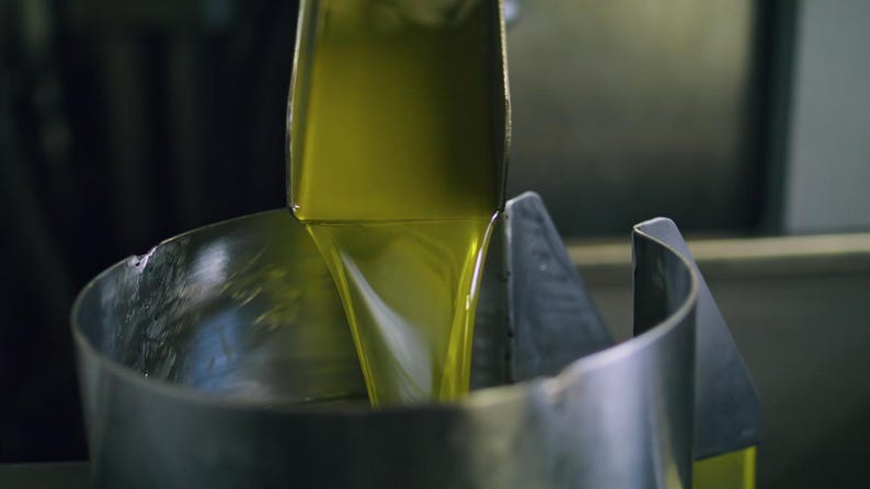 2025 Crop Organic Extra Virgin Olive Oil Cold Press 1 Gallon / 128oz image 7