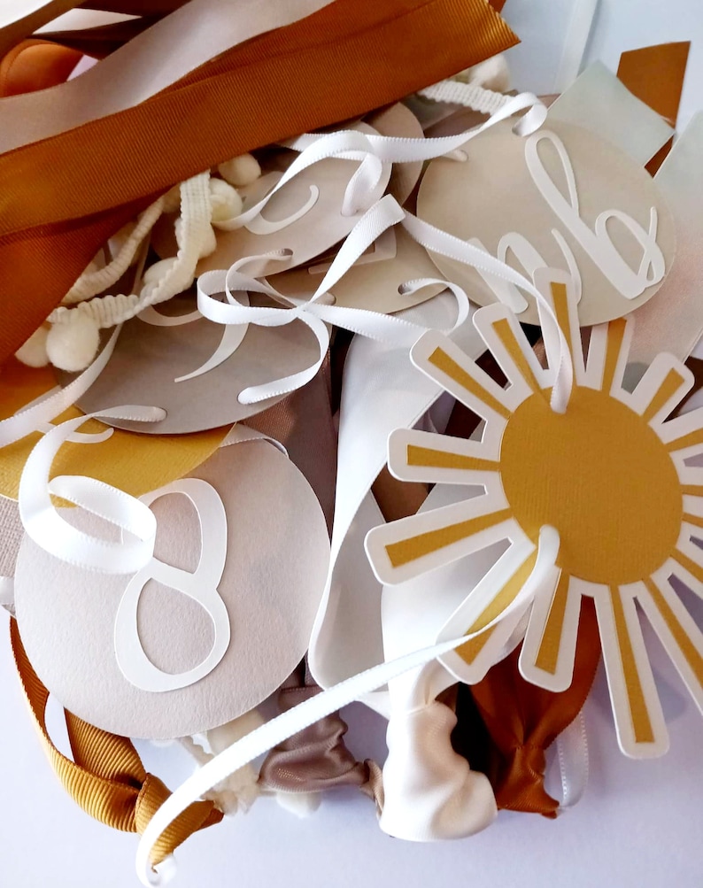 Neutral Sun Photo Display, Earthy Tones Sun Milestone Banner, Our ...